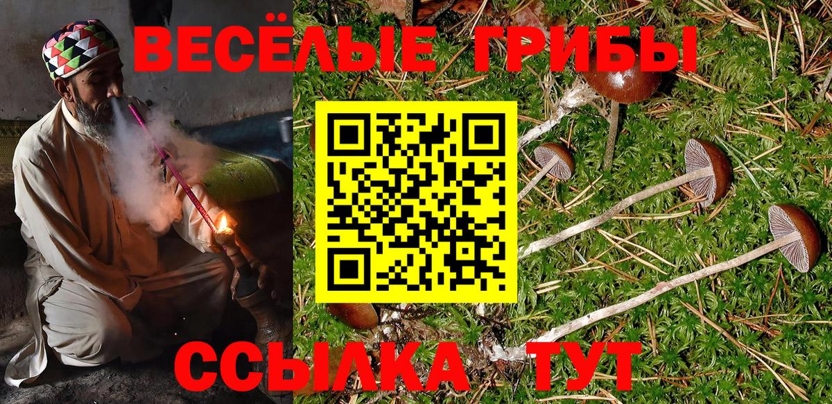 Псилоцибиновые грибы ЛСД  Галлюциногенные грибы Psilocybine cubensis  Вход с VPN  Похвистнево 